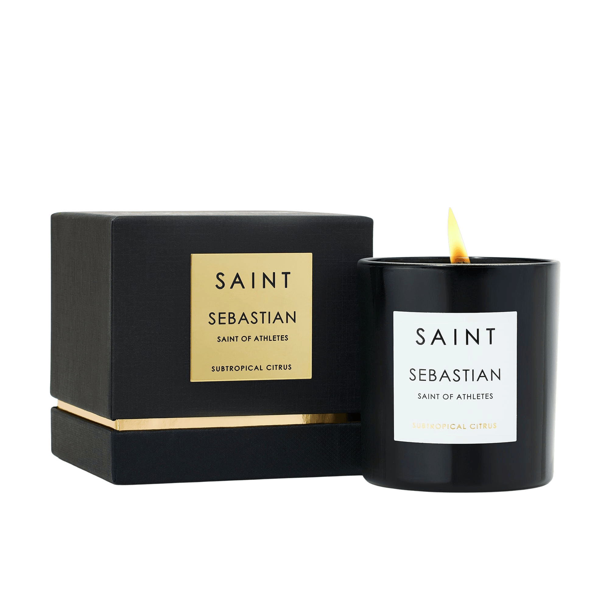 Saint Sebastian Saint of Athletes